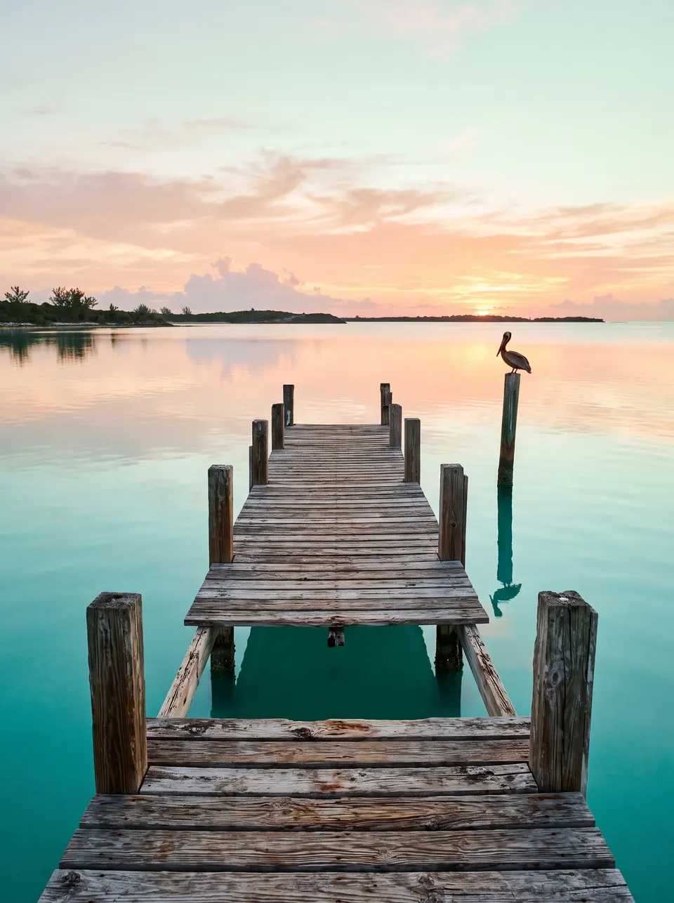 A weathered dock reaching into glassy shallow water at sunrise, a seabird on a piling